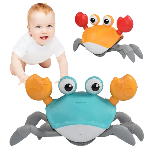 Sensory Crab and Octopus Toys